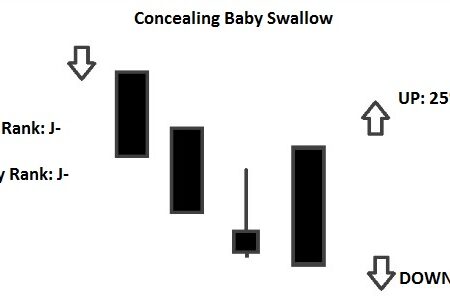 Concealing Baby Swallow
