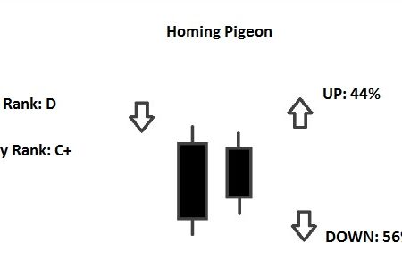 Homing Pigeon Pattern