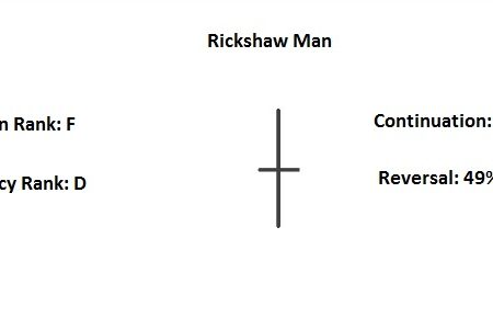 Rickshaw Man Pattern