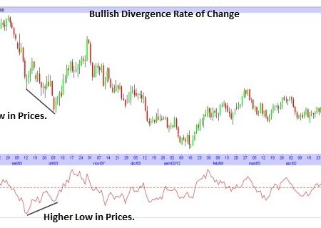 The Rate of Change (ROC)